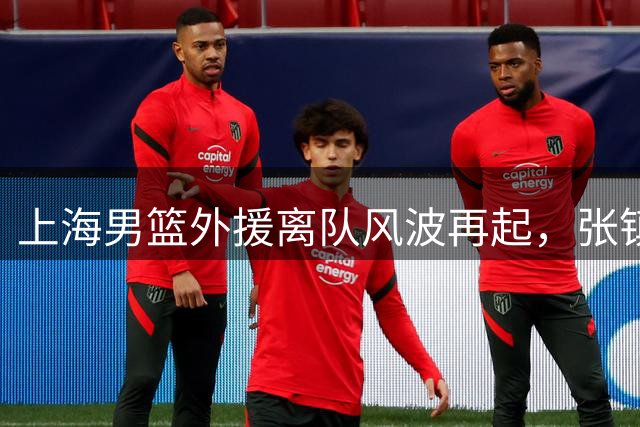 上海男篮外援离队风波再起，张镇麟肌肉变化引热议