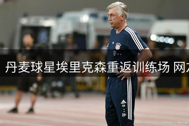 丹麦球星埃里克森重返训练场 网友担忧：心脏问题不容忽视