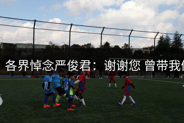 各界悼念严俊君：谢谢您 曾带我们“看世界”