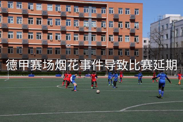 德甲赛场烟花事件导致比赛延期
