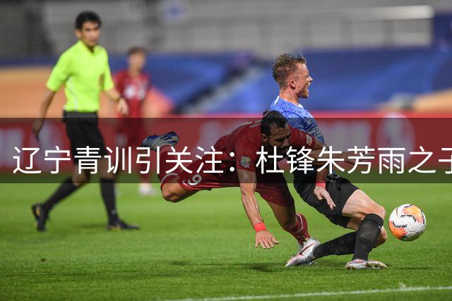 辽宁青训引关注：杜锋朱芳雨之子加盟传闻真相揭秘