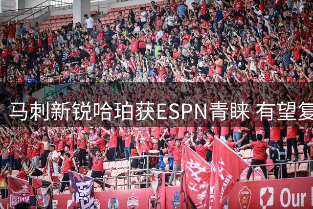 马刺新锐哈珀获ESPN青睐 有望复制哈登第六人传奇